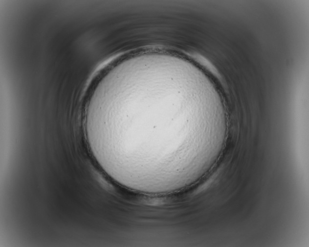 X0000085310831200703302021