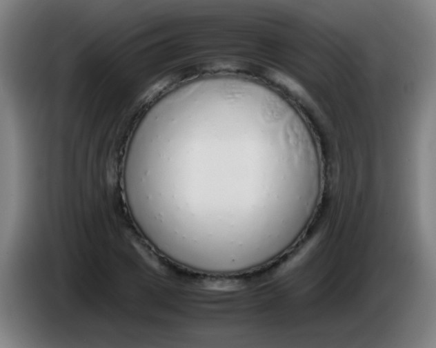 X0000085310833200703302021