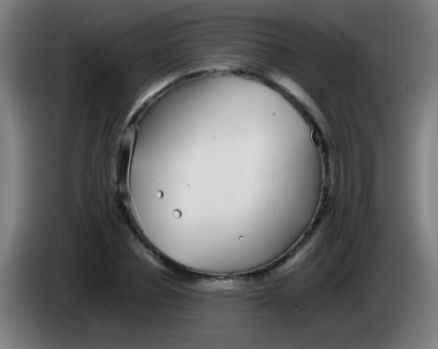 X0000085310834200703302021