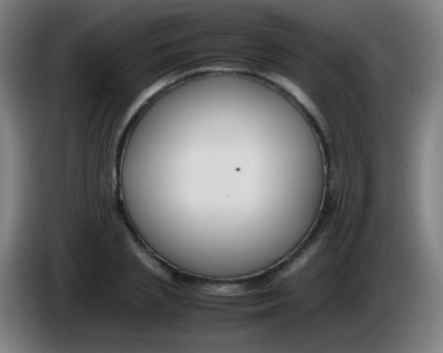 X0000085310837200703302021