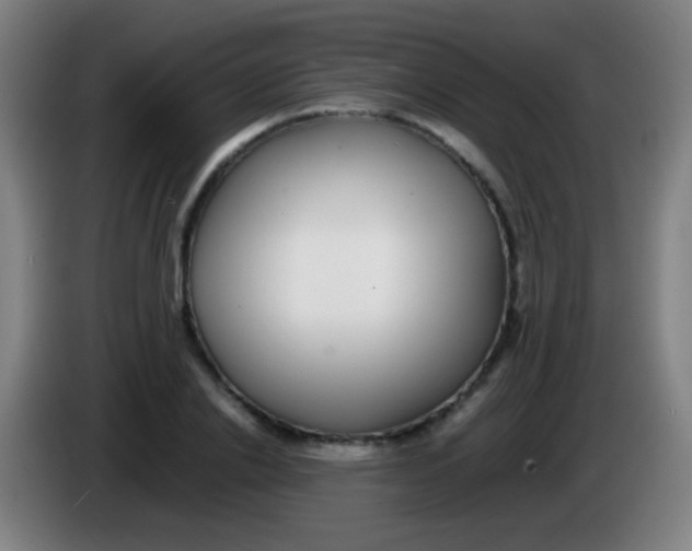 X0000085310838200703302021