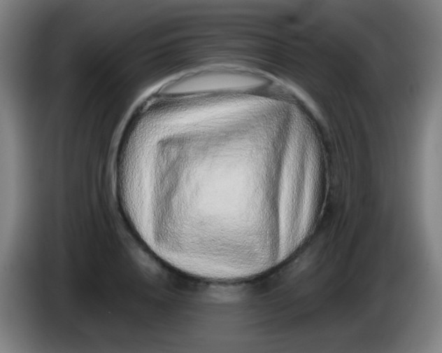 X0000085310840200703302021