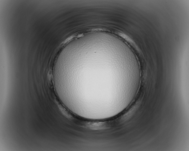 X0000085310841200703302021