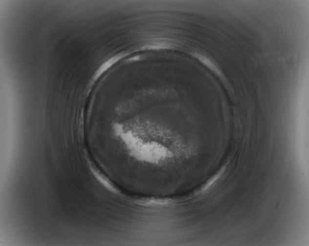 X0000085310842200703302021