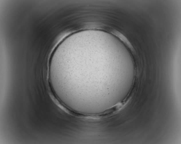 X0000085310844200703302021