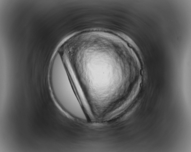 X0000085310847200703302021