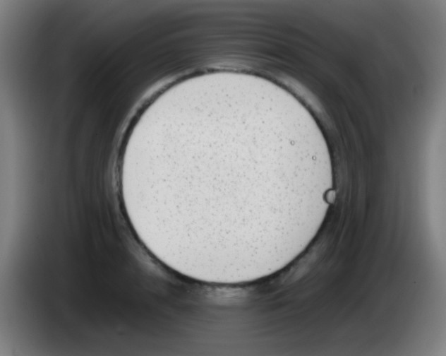 X0000085310848200703302021