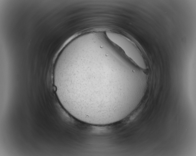 X0000085310852200703302021