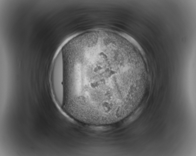 X0000085310855200703302021