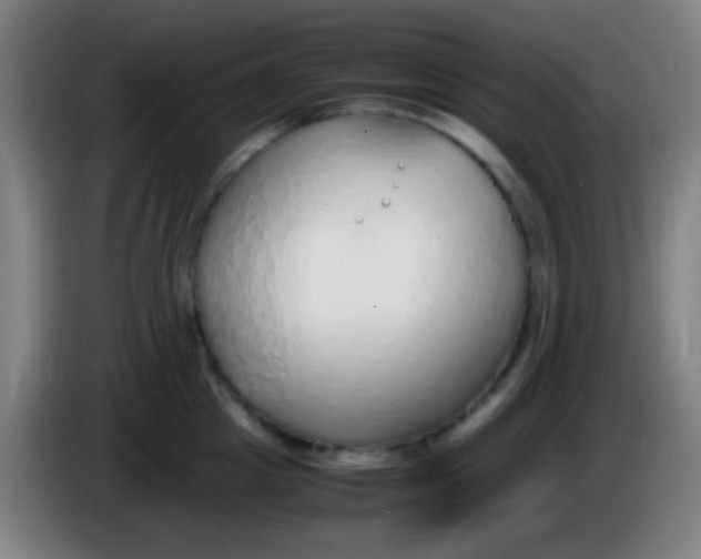 X0000085310857200703302021