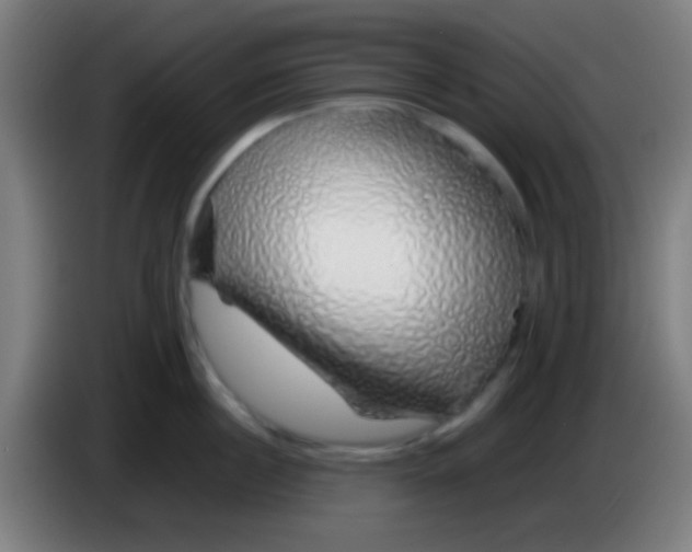 X0000085310860200703302021