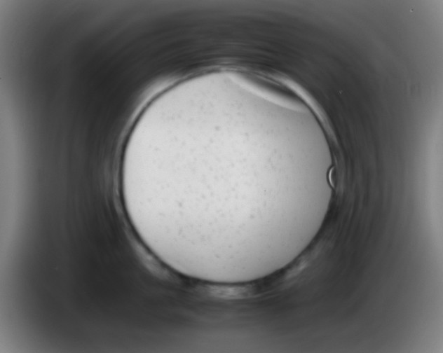 X0000085310861200703302021