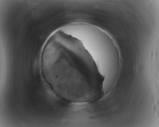 X0000085310864200703302021