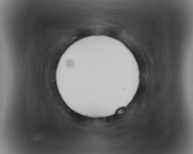 X0000085310865200703302020