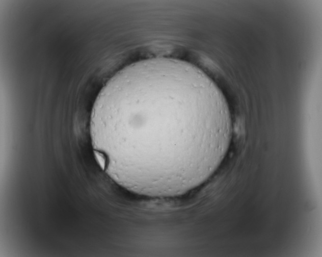 X0000085310867200703302020