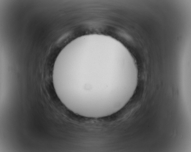 X0000085310869200703302020