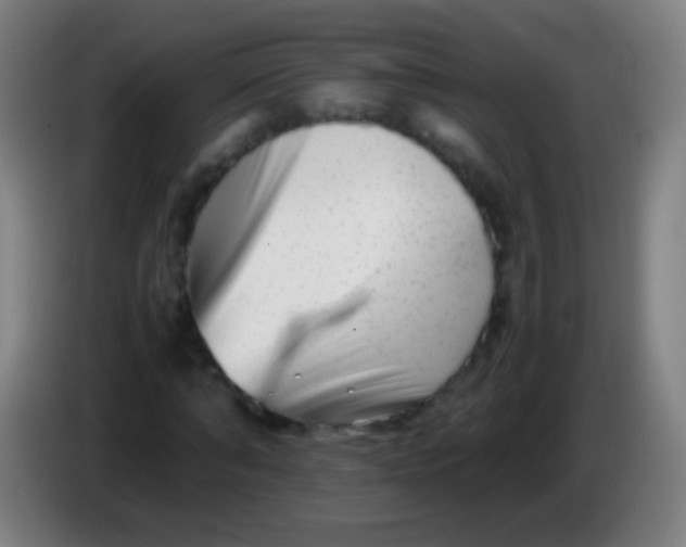 X0000085310870200703302020