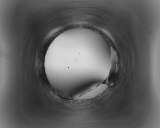 X0000085310872200703302020