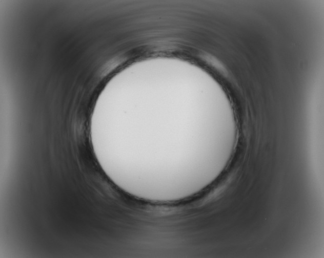 X0000085310873200703302020