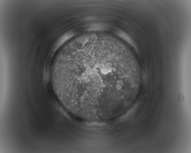 X0000085310874200703302020