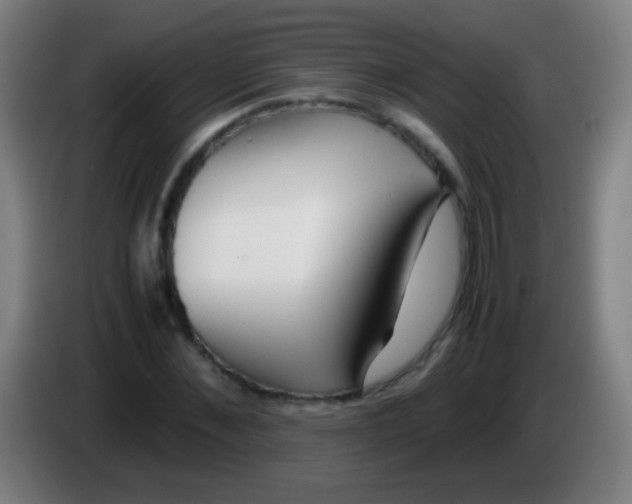 X0000085310876200703302020