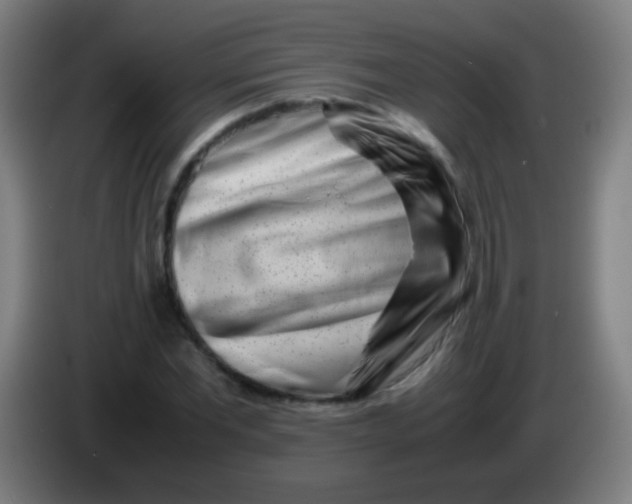 X0000085310877200703302020