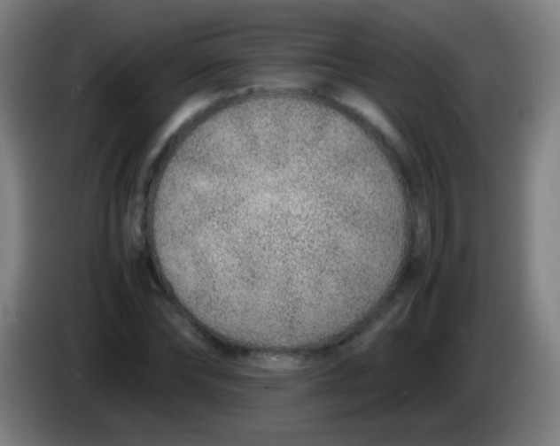 X0000085310878200703302020