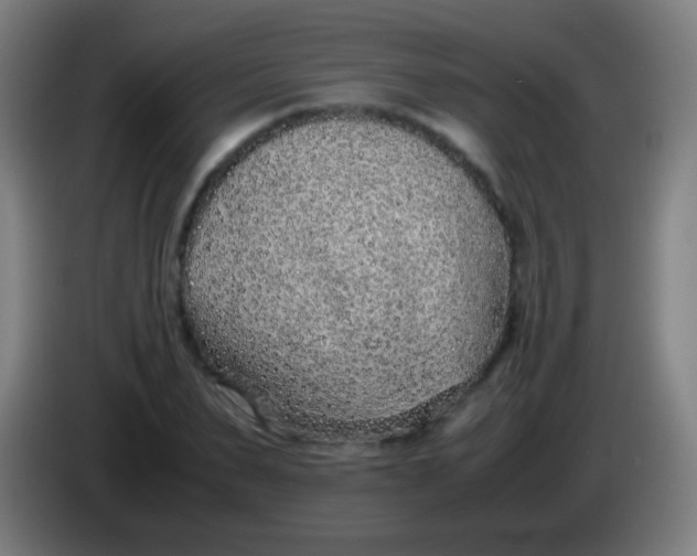 X0000085310879200703302020