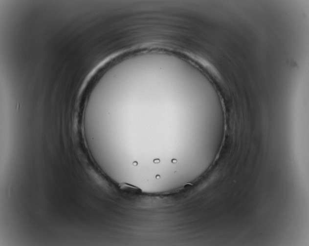 X0000085310880200703302020