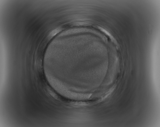 X0000085310881200703302020