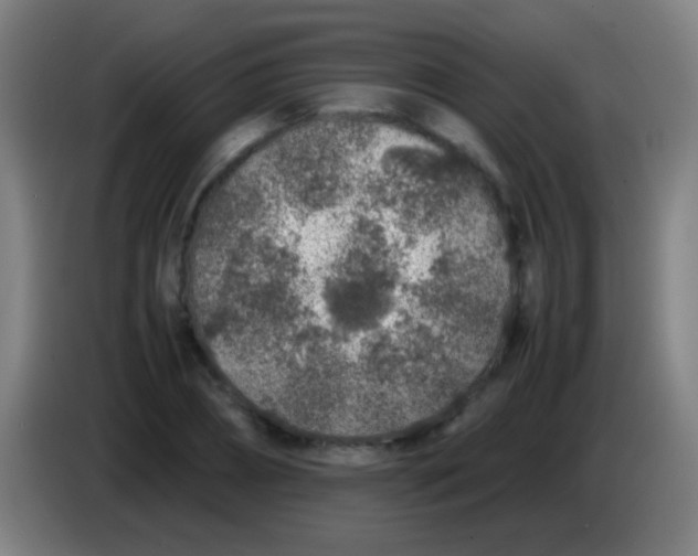 X0000085310882200703302020