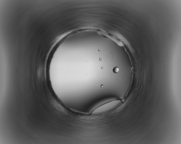 X0000085310884200703302020