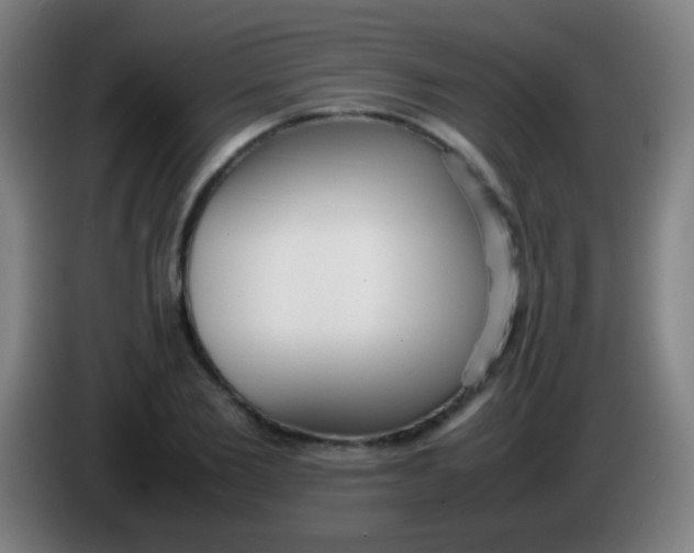 X0000085310885200703302020