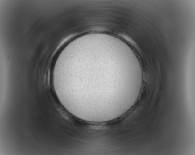 X0000085310886200703302020