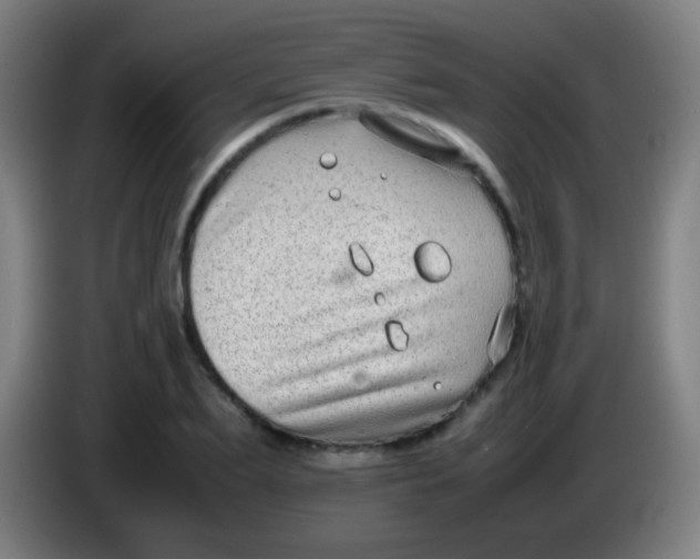 X0000085310887200703302020