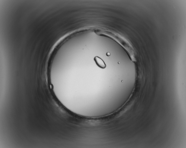 X0000085310888200703302020