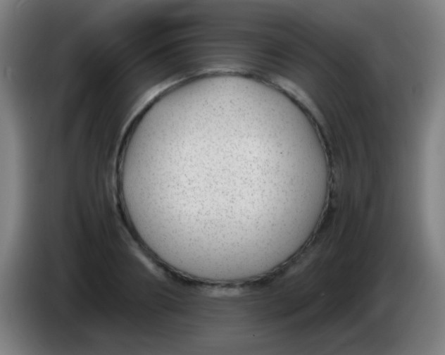 X0000085310890200703302020