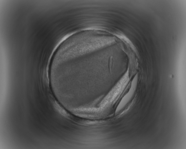 X0000085310892200703302020