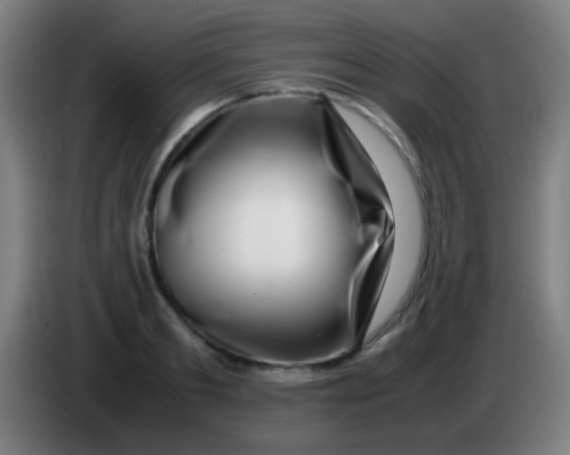 X0000085310893200703302020