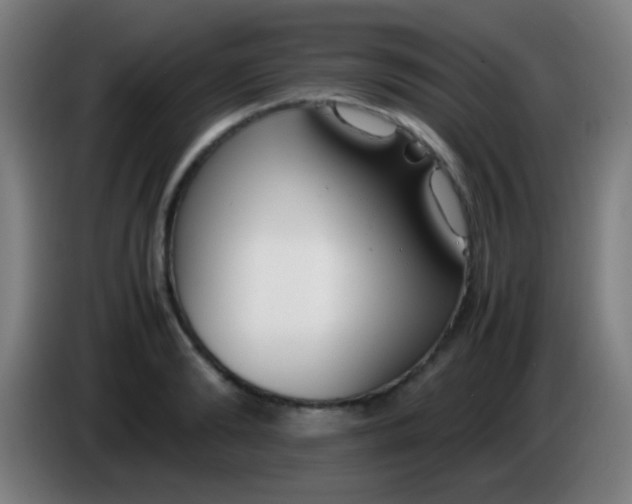 X0000085310894200703302020