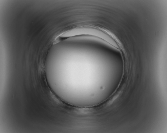 X0000085310897200703302020