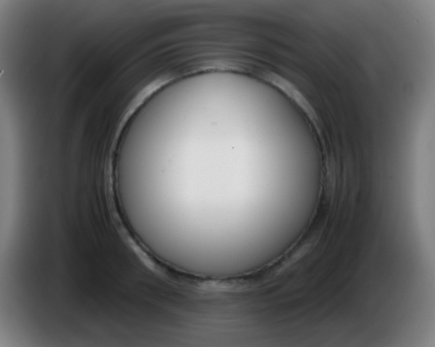 X0000085310898200703302020