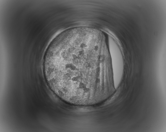 X0000085310899200703302020