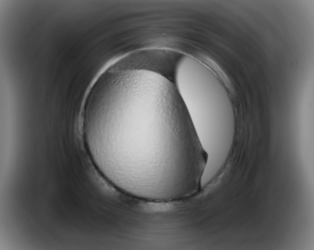 X0000085310900200703302020