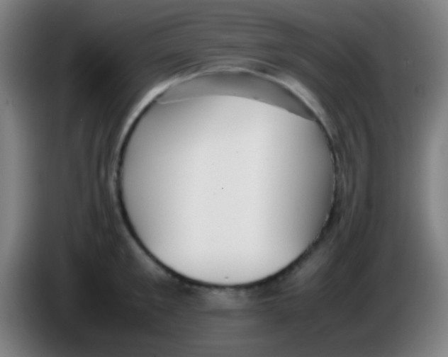 X0000085310901200703302020