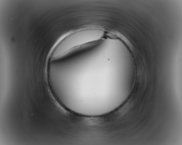 X0000085310902200703302020