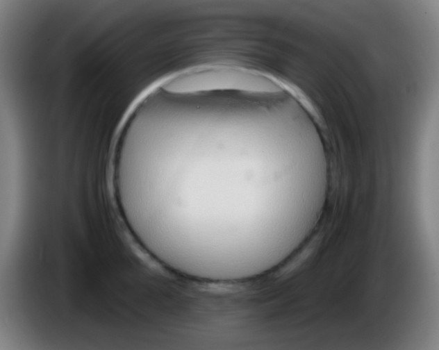 X0000085310904200703302020