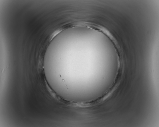 X0000085310905200703302020