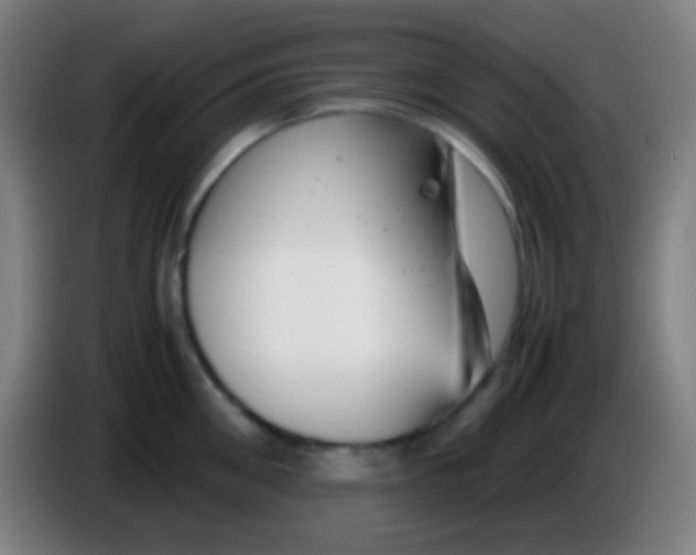 X0000085310906200703302020