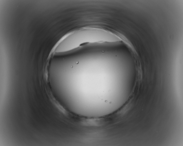 X0000085310908200703302020